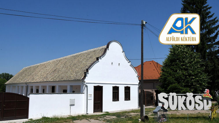 Homokhátság